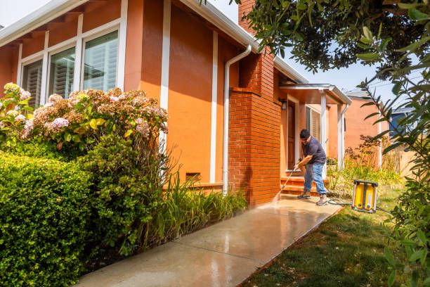 Best Pressure Washing Patio  in Phelan, CA
