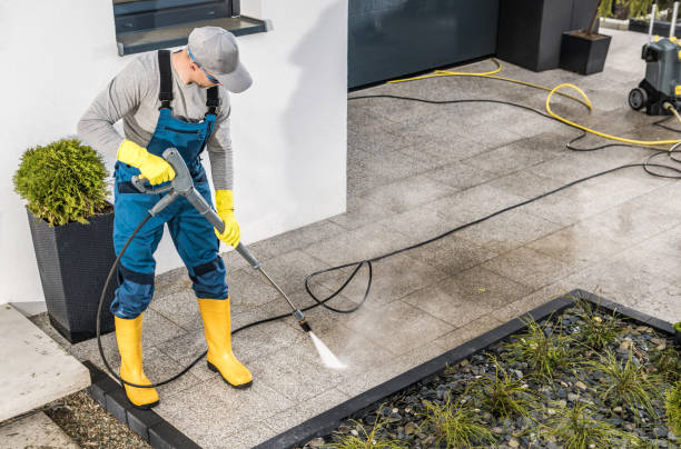 Best Roof Pressure Washing  in Phelan, CA