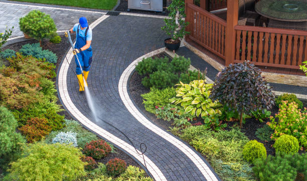Best Roof Pressure Washing  in Phelan, CA
